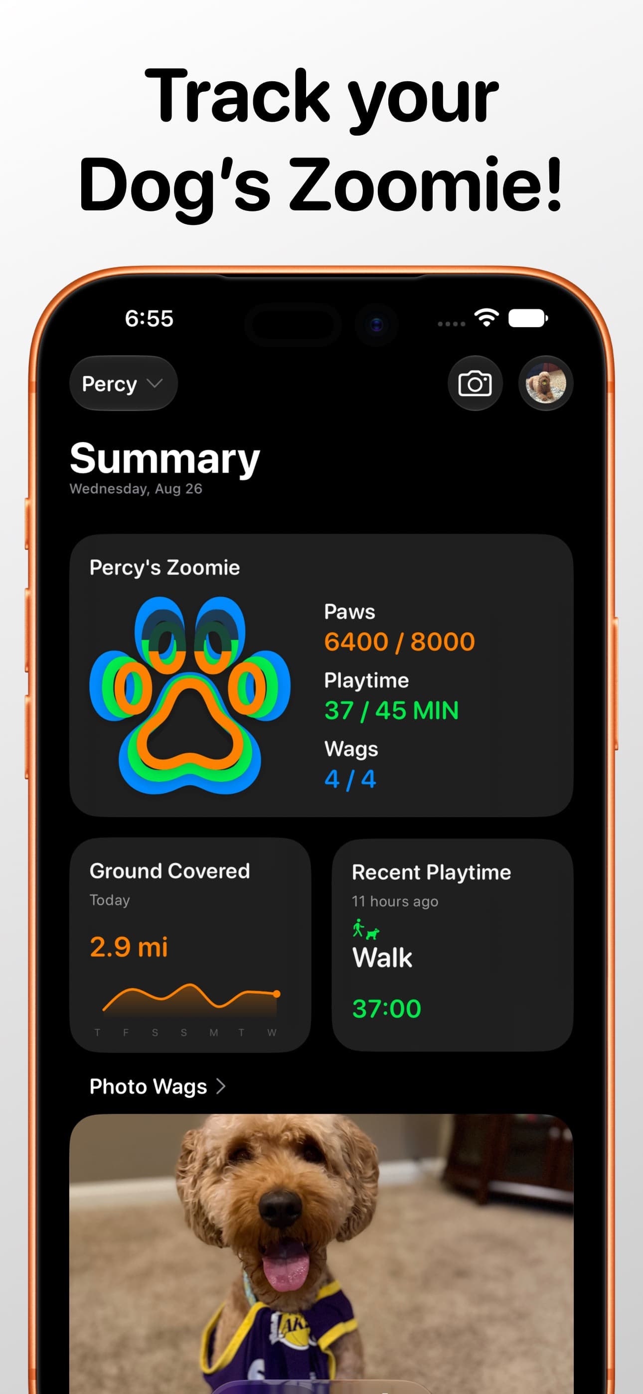 Zoomie's Summary screen